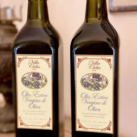 Semesterbostad Il Palmento Di Clelia 1936 Locri