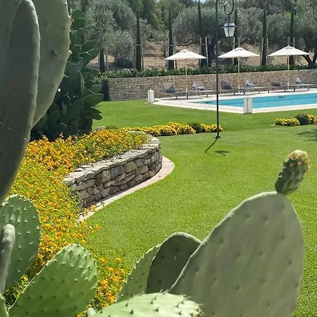 Il Palmento Di Clelia 1936 *