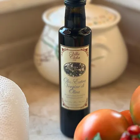 Semesterbostad Il Palmento Di Clelia 1936 *