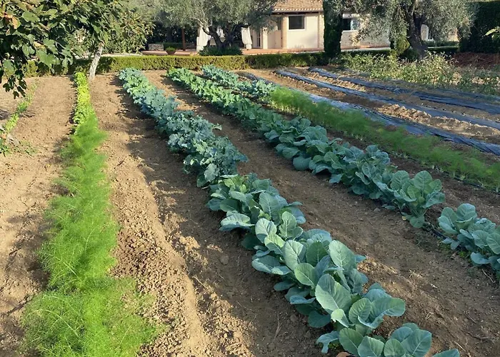 Casa de Férias Il Palmento Di Clelia 1936 *