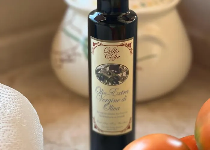 Casa de Férias Il Palmento Di Clelia 1936 *